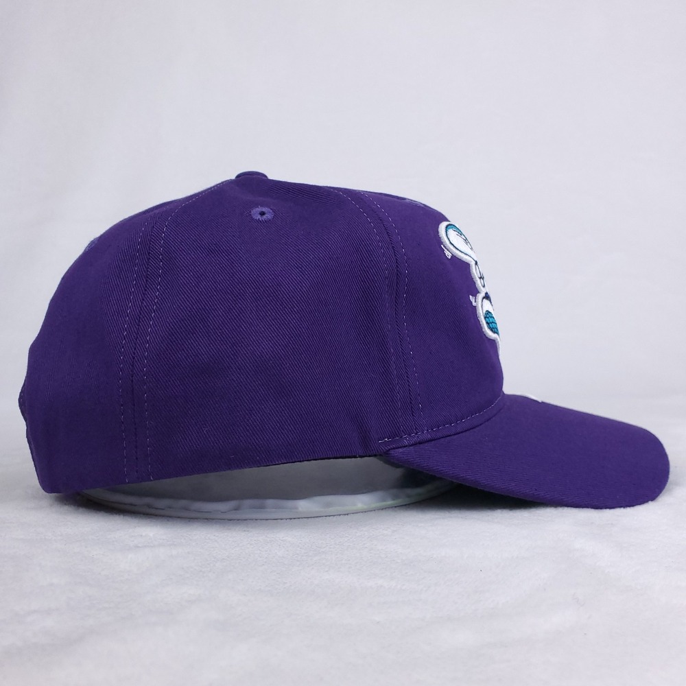 Charlotte Hornets Mitchell & Ness NBA Dad Hat Cap 3D Logo Cut Fabric Art New - Picture 5 of 9